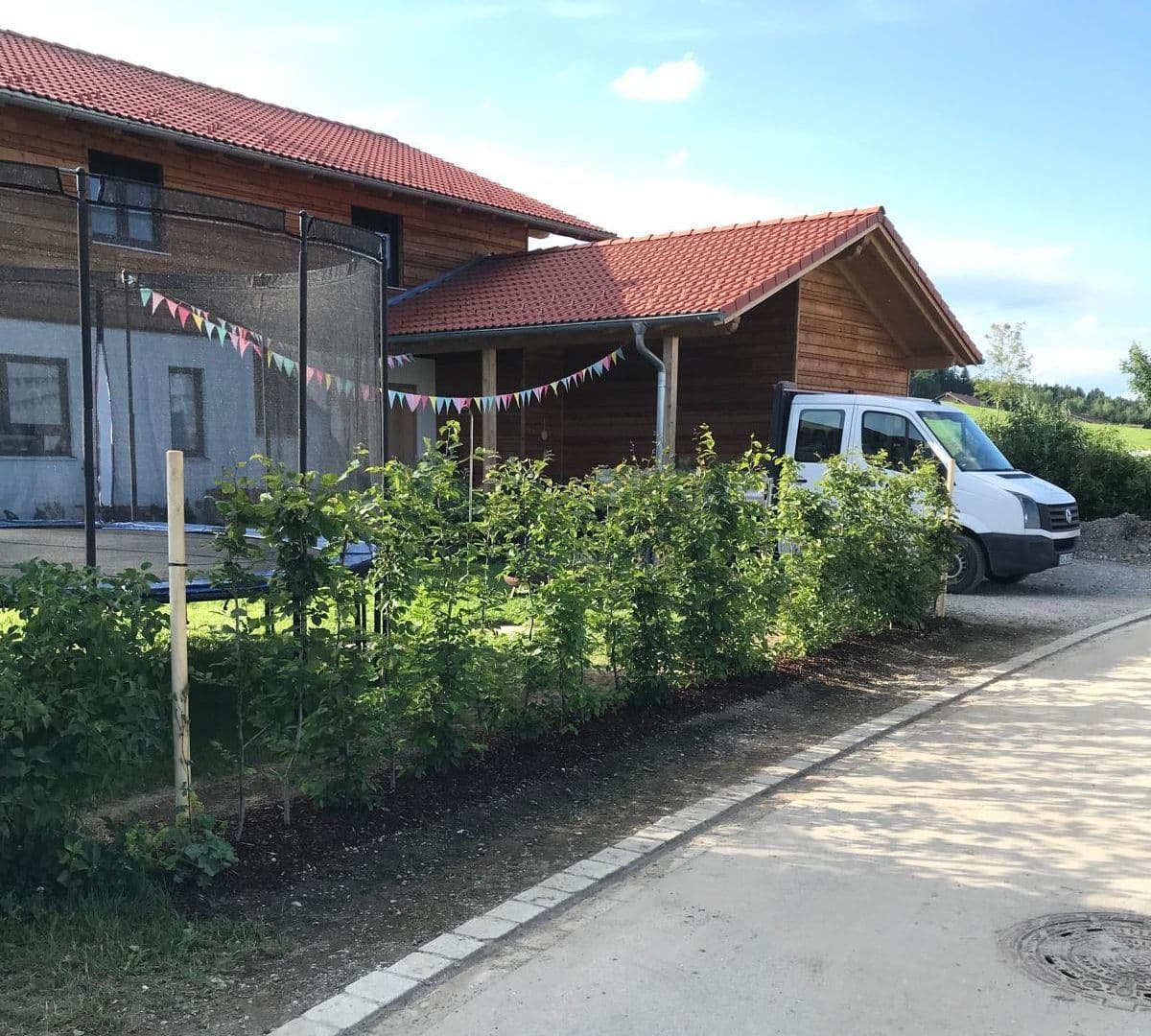 Frisch gepflanzte Hecke als lebendiger Sichtschutz an der Einfahrt — Projekt von ZWEIGEWERK Reiter